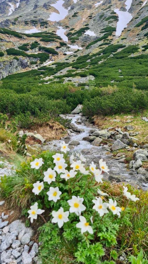 Tatry Ela Big Apartment Štrbské Pleso エクステリア 写真