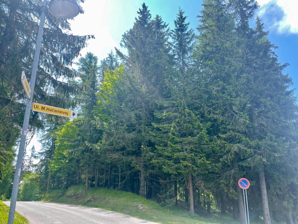 Tatry Ela Big Apartment Štrbské Pleso エクステリア 写真